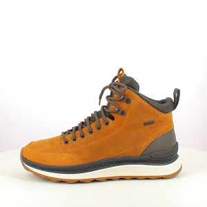  U46HMA<br>NUBUCK CAMEL LACET